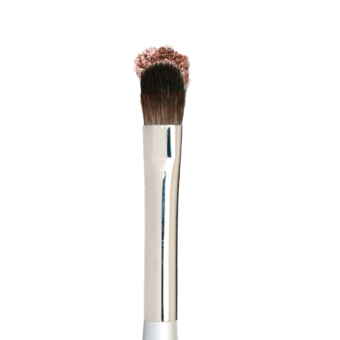 Blinc- All Over Shadow Brush